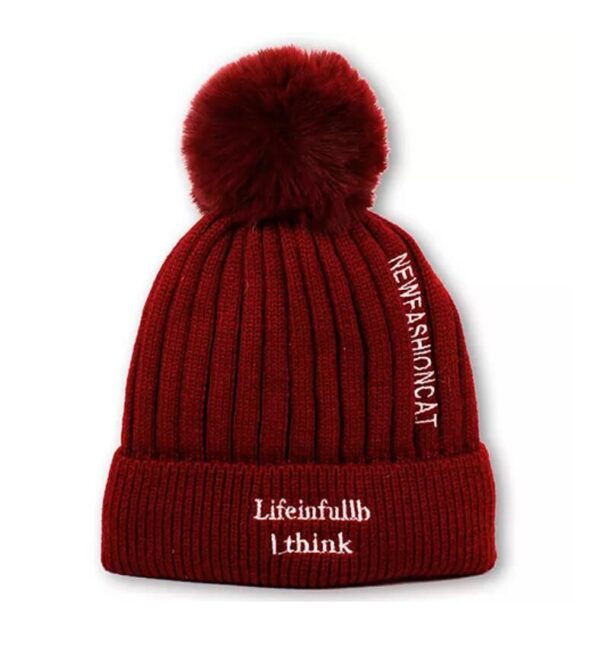 LC-14 Top Quality Winter Knitting Hat - Image 4